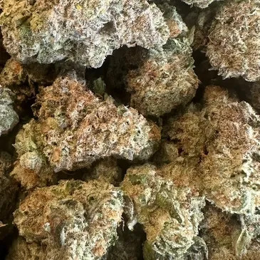 Black Maple – Premium THCA Flower (Indica Hybrid)