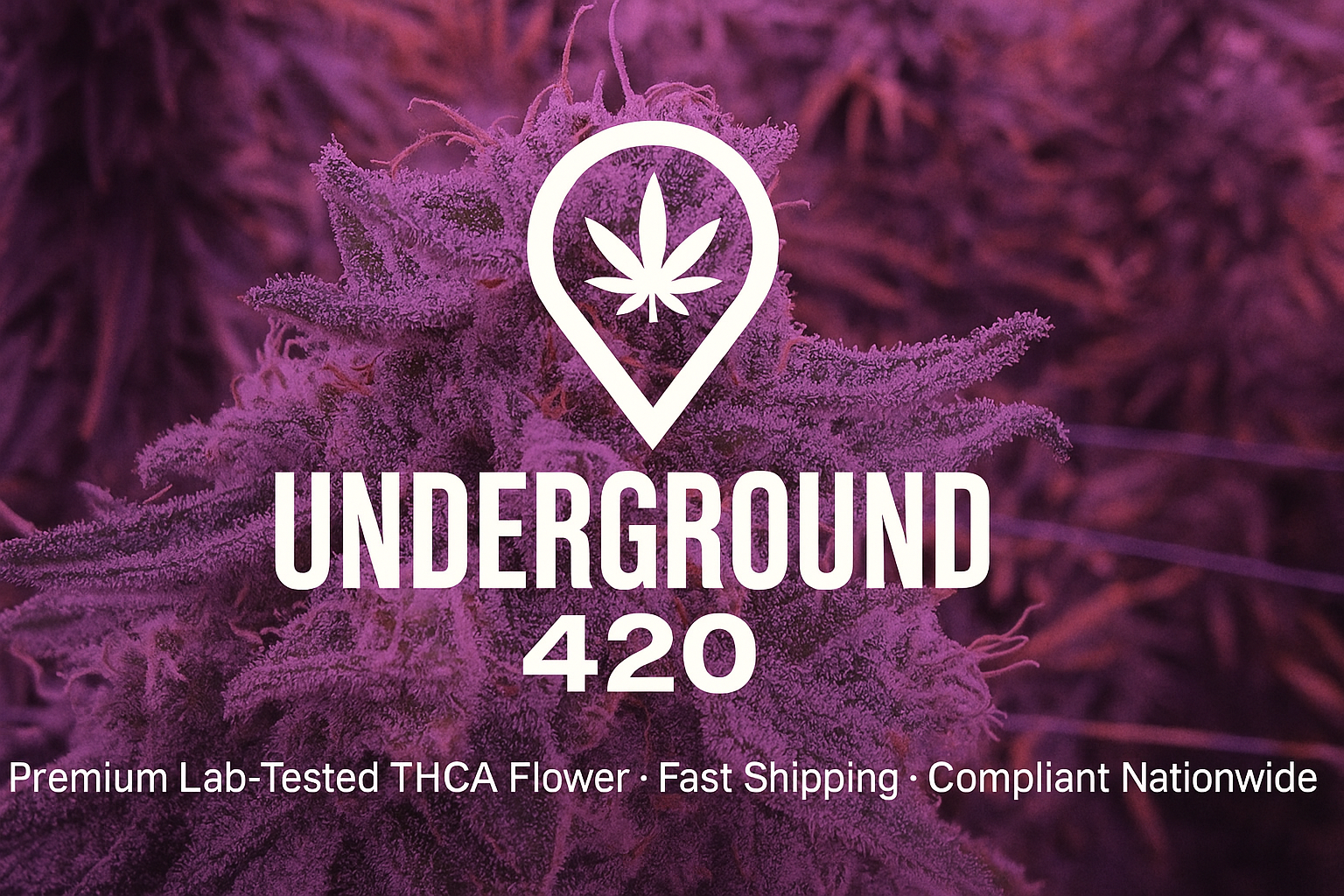Underground420 LLC