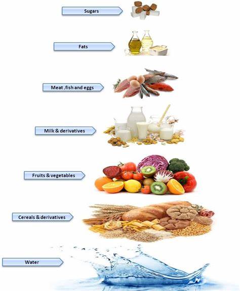 obesity-research-table.jpg