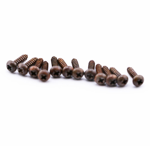 AGP ™ - Kluson ® Aged Relic Phillips Tuning Head Screws (12) #10302369