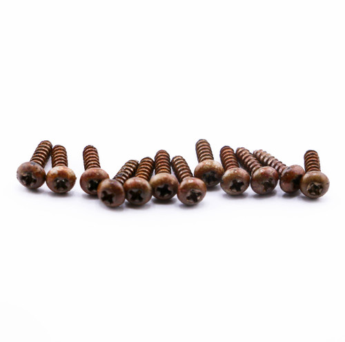 AGP ™ - Kluson ® Aged Relic Phillips Tuning Head Screws (12) #10302380