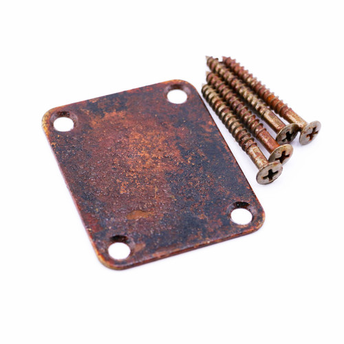 AGP ™ - Telecaster ® Stratocaster® Aged Relic Guitar Neck Plate & Screws #4252487