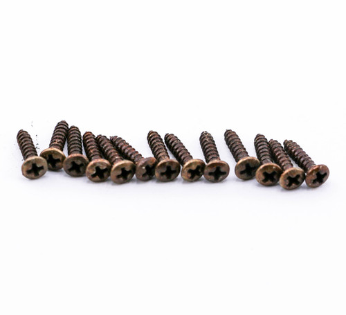 AGP ™ - Fender ® Telecaster ® Stratocaster ® Aged Relic Phillips Head Pickguard Screws (13) #8162485