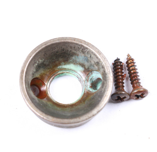 AGP ™ - Telecaster ® Tele Aged Relic Nickel Electrosocket and Screws #332642