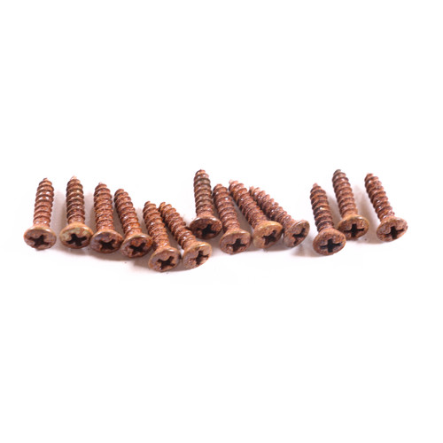 AGP ™ Aged Relic Phillips Head Pickguard Screws for Tele and Strat-Style Guitars (13) #5212659