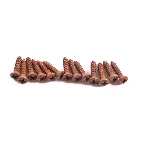 AGP ™ Aged Relic Phillips Head Pickguard Screws for Tele and Strat-Style Guitars (13) #5212661