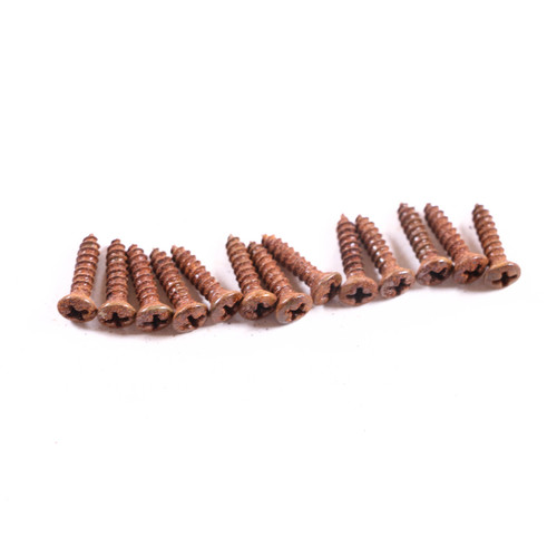 AGP ™ Aged Relic Phillips Head Pickguard Screws for Tele and Strat-Style Guitars (13) #5212662