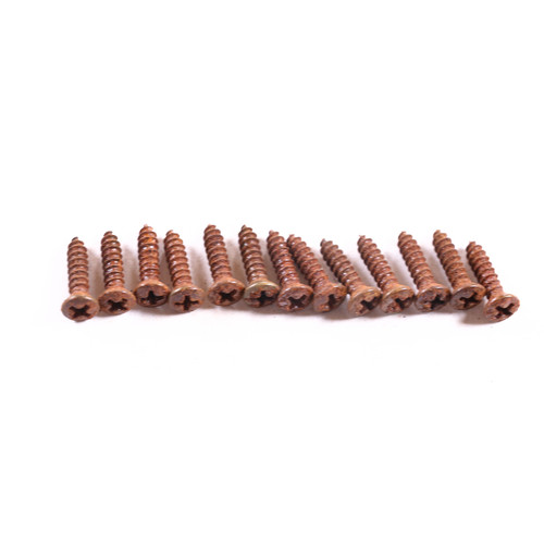 AGP ™ Aged Relic Phillips Head Pickguard Screws for Tele and Strat-Style Guitars (13) #5212663