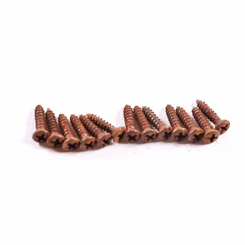 AGP ™ Aged Relic Phillips Head Pickguard Screws for Tele and Strat-Style Guitars (13) #5212665
