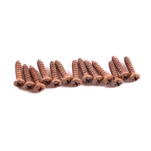 AGP ™ Aged Relic Phillips Head Pickguard Screws for Tele and Strat-Style Guitars (13) #5212667