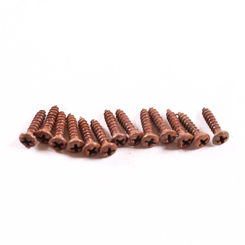 AGP ™ Aged Relic Phillips Head Pickguard Screws for Tele and Strat-Style Guitars (13) #5212668