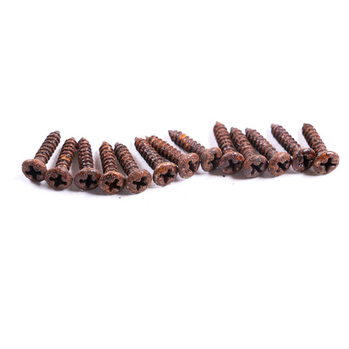 AGP Aged Relic Phillips Head Pickguard Screws for T & S Vintage Style Guitars (13) 10102619