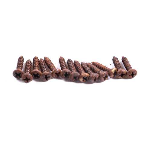 AGP Aged Relic Phillips Head Pickguard Screws for T & S Vintage Style Guitars (13) 10102620