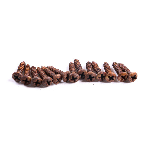 AGP Aged Relic Phillips Head Pickguard Screws for T & S Vintage Style Guitars (13) 10102621