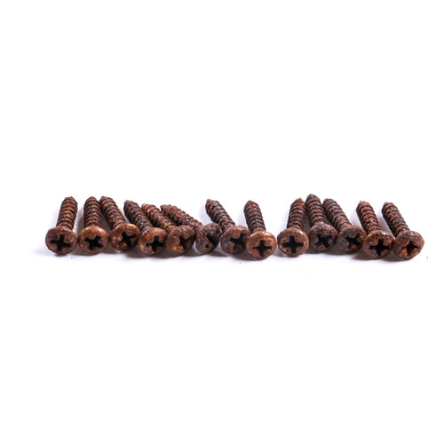 AGP Aged Relic Phillips Head Pickguard Screws for T & S Vintage Style Guitars (13) 10102622
