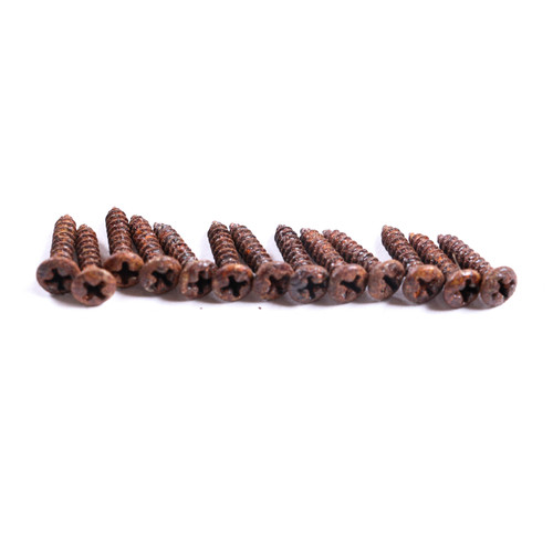 AGP Aged Relic Phillips Head Pickguard Screws for T & S Vintage Style Guitars (13) 10102623