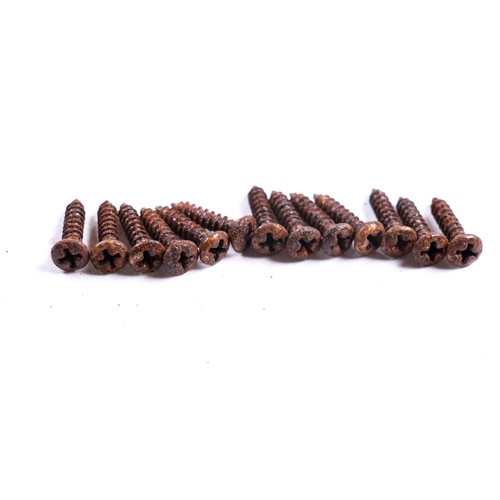 AGP Aged Relic Phillips Head Pickguard Screws for T & S Vintage Style Guitars (13) 10102627