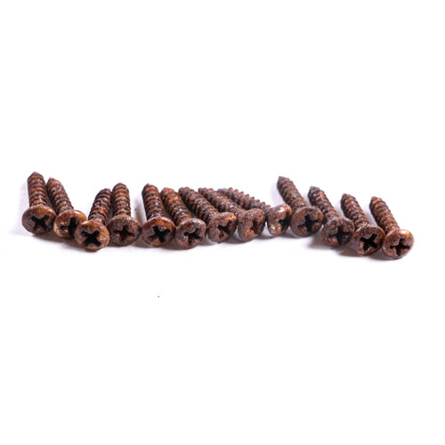 AGP Aged Relic Phillips Head Pickguard Screws for T & S Vintage Style Guitars (13) 10102628