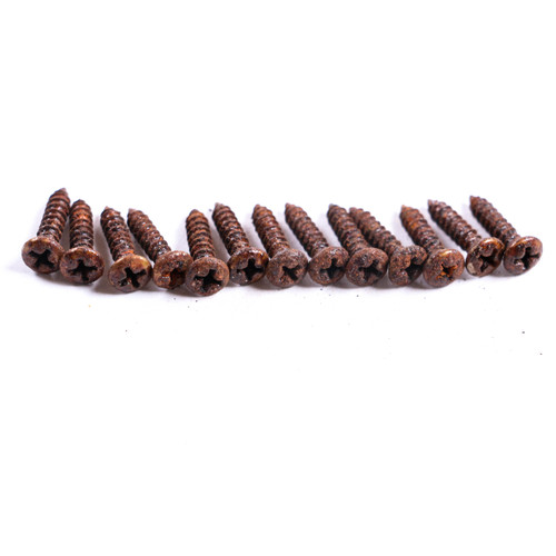 AGP Aged Relic Phillips Head Pickguard Screws for T & S Vintage Style Guitars (13) 10102630