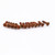AGP ™ - Fender ® Telecaster ® Stratocaster ® Aged Relic Slot Head Pickguard Screws (13) #6162577