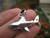 925 sterling silver Great White Shark pendant necklace A46 tooth