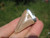 Natural 925 Sterling Silver Otodus Obliquus shark tooth fossil pendant A19