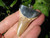  925 Sterling Silver Otodus Obliquus shark tooth fossil pendant Morocco A5