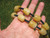 Natural  Honey Jade Agate necklace Amulet stone carving  A78