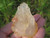 New Natural Quartz Crystal Stone Ganesh Mineral Statue Art A45 EH6384