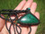 Natural Malachite Crystal Stone Pendant Necklace Thailand Jewelry art EB700