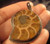 925 Silver Madagascar Ocean Ammonite fossil pendant A