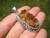 925 Silver Natural Citrine Quartz Pendant Necklace Taxco Mexico