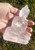 Natural Quartz Crystal Buddha Statue India Size 5.1" CH5286