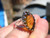 925 Silver Chiapas Amber Ring  Size 6.5 US Taxco Mexico A2664