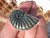 925 Silver Natural Pyrite Ammonite Ring Taxco Mexico Size 7 (  6-8 ) A268