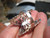 925 Silver Marcasite Stone Butterfly Ring Taxco Mexico Size 7.5 US A8766