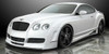 Premier4509 2003-2010 Bentley Continental GT Coupe Carbon Side Skirts