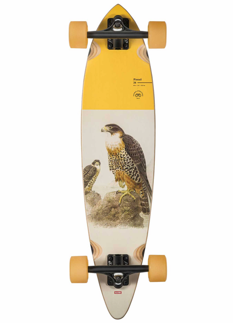 Globe Pintail 34 8.0 Complete Longboard Falcon