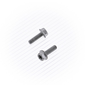 Bolt - 10/pk Euro Flange Bolt 5x16mm - 024-50516