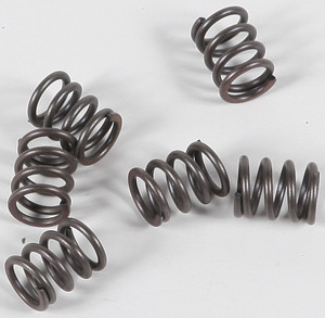 Ebc - Clutch Springs - CSK21