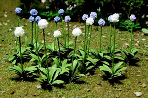 JTT Trees & Shrubs - O Allium Gigateum - 95597