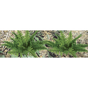 JTT Trees & Shrubs - Ho Ferns 5/8' - 95533