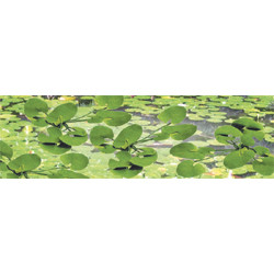 JTT Trees & Shrubs - O Lily Pads 1-1/2' - 95538