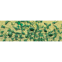 JTT Trees & Shrubs - Ho Watermelon Patch - 95575