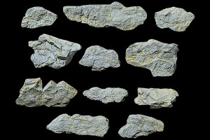 Woodland Scenics - Rock Mold Surface Rocks - 1231