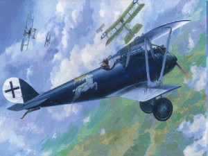 Roden Model Aircrafts - PfalZ D.Iiia 1:72 - 15