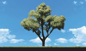 Woodland Scenics - Clasc Trees Early Light 1.25-2 - 3546