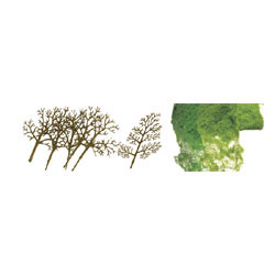 JTT Trees & Shrubs - Sycamore 3' to 4' Prem Ho - 92020