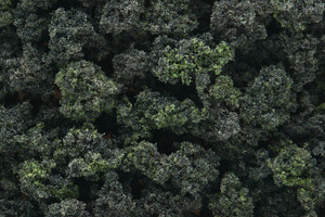 Woodland Scenics - Bushes Forest Blend Shaker 32o - 1649