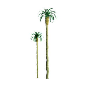 JTT Trees & Shrubs - Palm 2.' Pro 6pk - 94236
